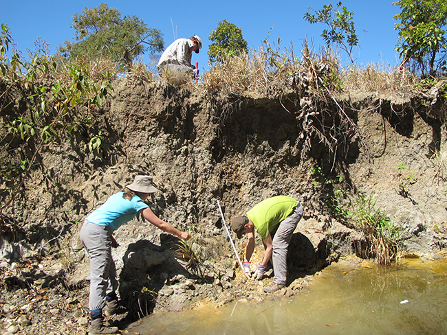 Sampling a weathered section in a stream valley. Copyright Kathryn Goodenough.