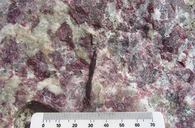 Eudialyte, an important REE ore mineral.