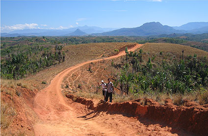 Laterites over alkaline rocks in north Madagascar represent a potential REE resource.